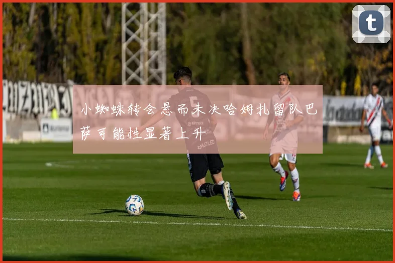 小蜘蛛转会悬而未决哈姆扎留队巴萨可能性显著上升