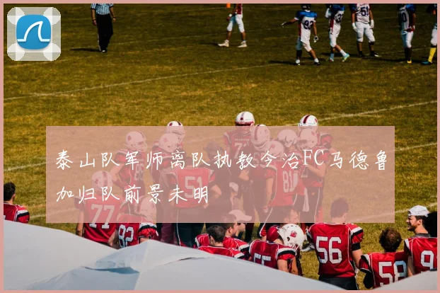 泰山队军师离队执教今治FC马德鲁加归队前景未明